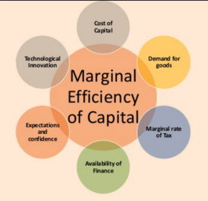 Capital Efficiency